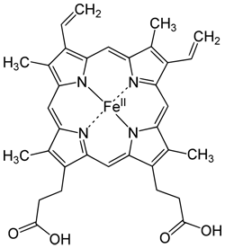 mol&eacute;cule d'h&eacute;moglobine